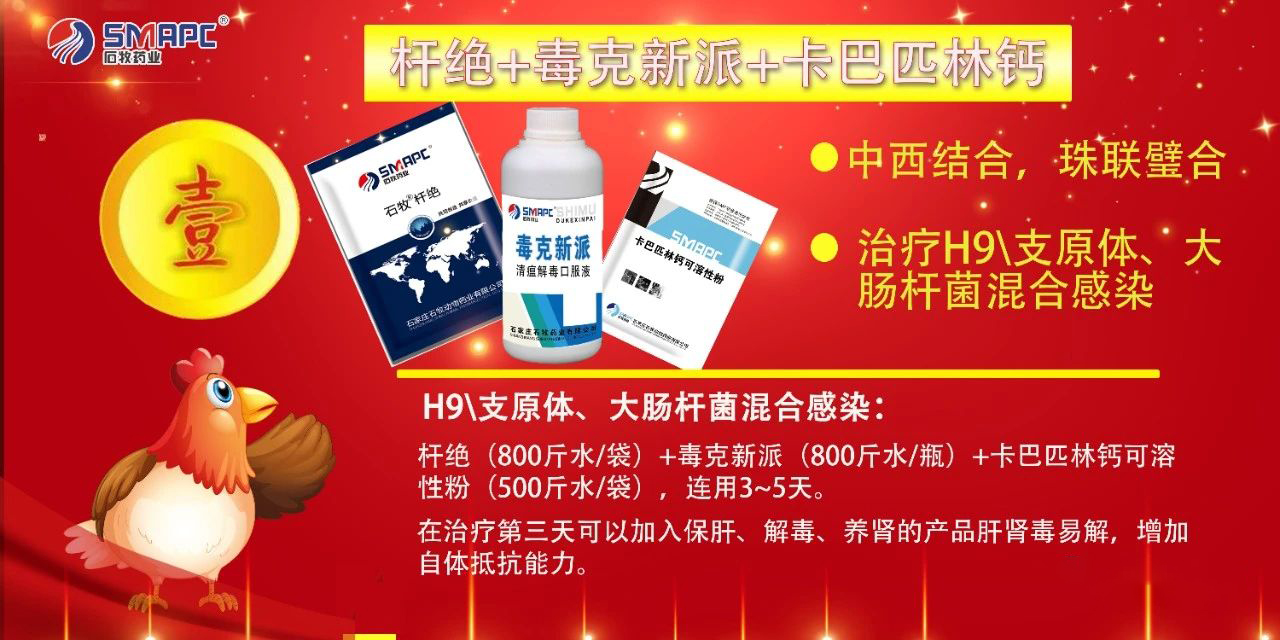 �ڲ�����Ϸ������(�й�)רҵ����,����Ϊ��