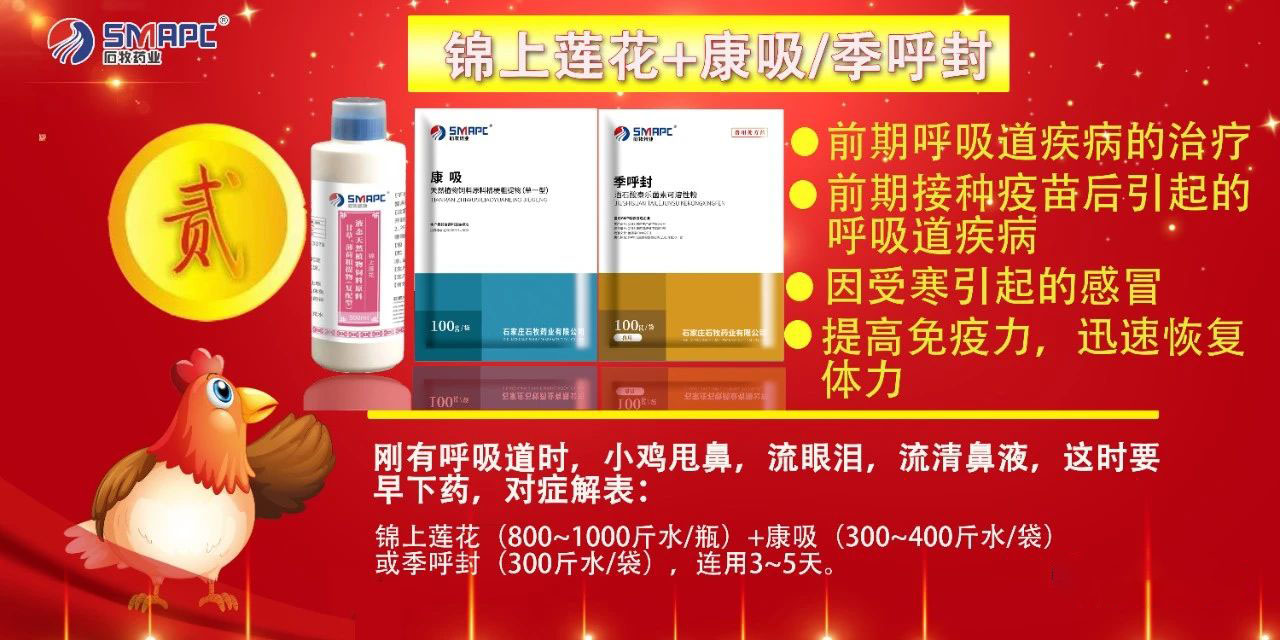 �ڲ�����Ϸ������(�й�)רҵ����,����Ϊ��