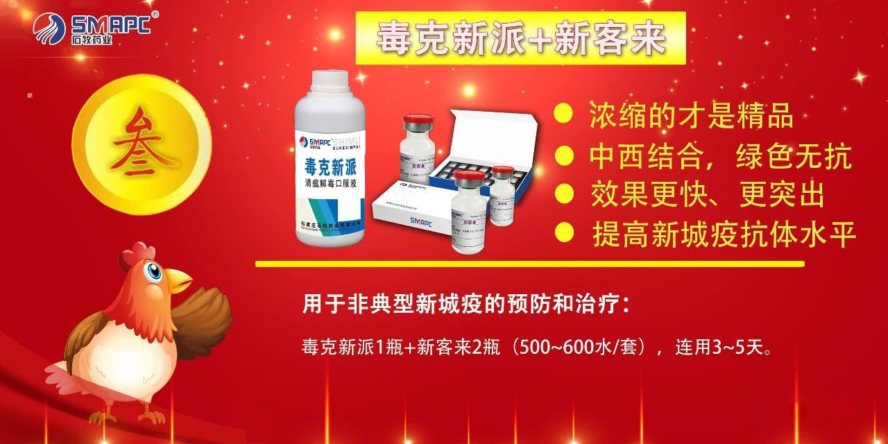 �ڲ�����Ϸ������(�й�)רҵ����,����Ϊ��