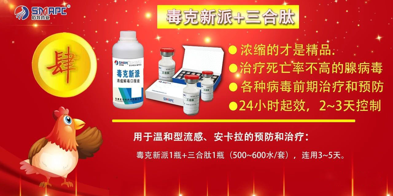 �ڲ�����Ϸ������(�й�)רҵ����,����Ϊ��