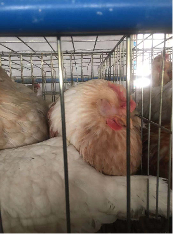 ÌÚ²©»áÓÎÏ·¹ÙÍø¡¤(Öйú)רҵ·þÎñ,³ÏÐÅΪ±¾