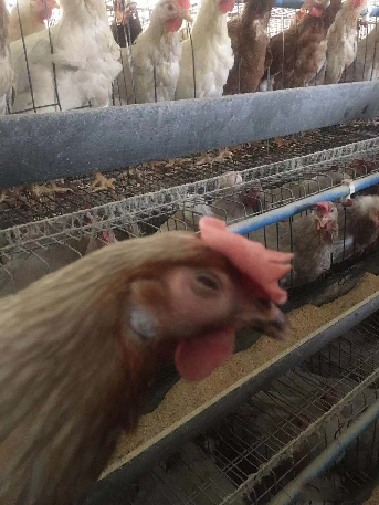 ÌÚ²©»áÓÎÏ·¹ÙÍø¡¤(Öйú)רҵ·þÎñ,³ÏÐÅΪ±¾