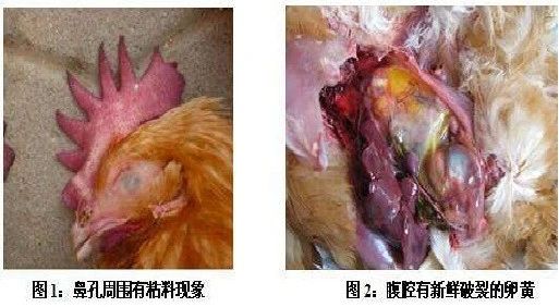 ÌÚ²©»áÓÎÏ·¹ÙÍø¡¤(Öйú)רҵ·þÎñ,³ÏÐÅΪ±¾