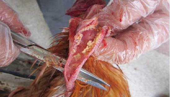 ÌÚ²©»áÓÎÏ·¹ÙÍø¡¤(Öйú)רҵ·þÎñ,³ÏÐÅΪ±¾