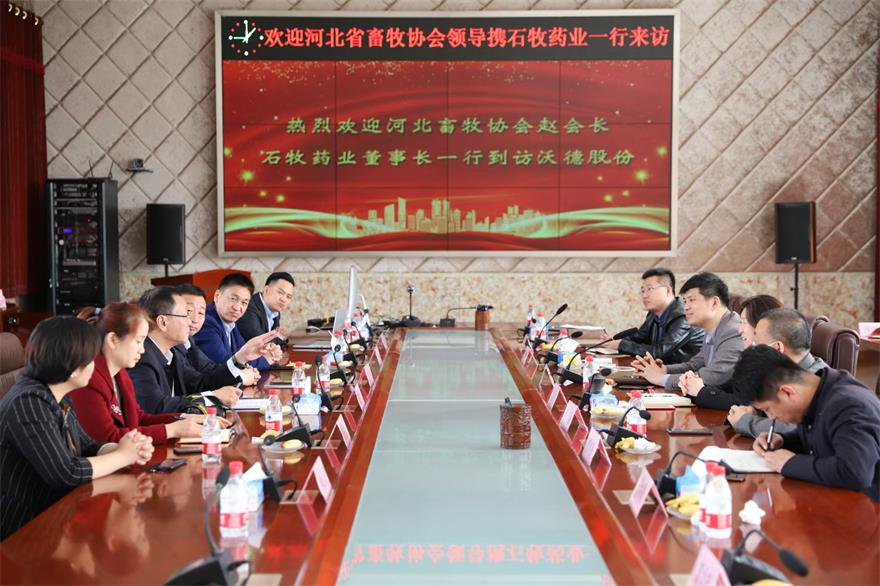 �ڲ�����Ϸ������(�й�)רҵ����,����Ϊ��