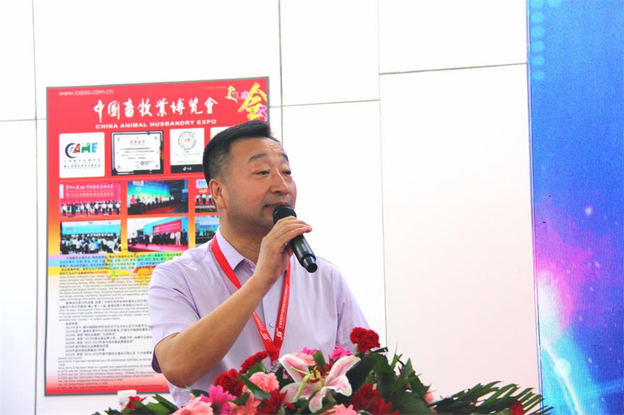 �ڲ�����Ϸ������(�й�)רҵ����,����Ϊ��