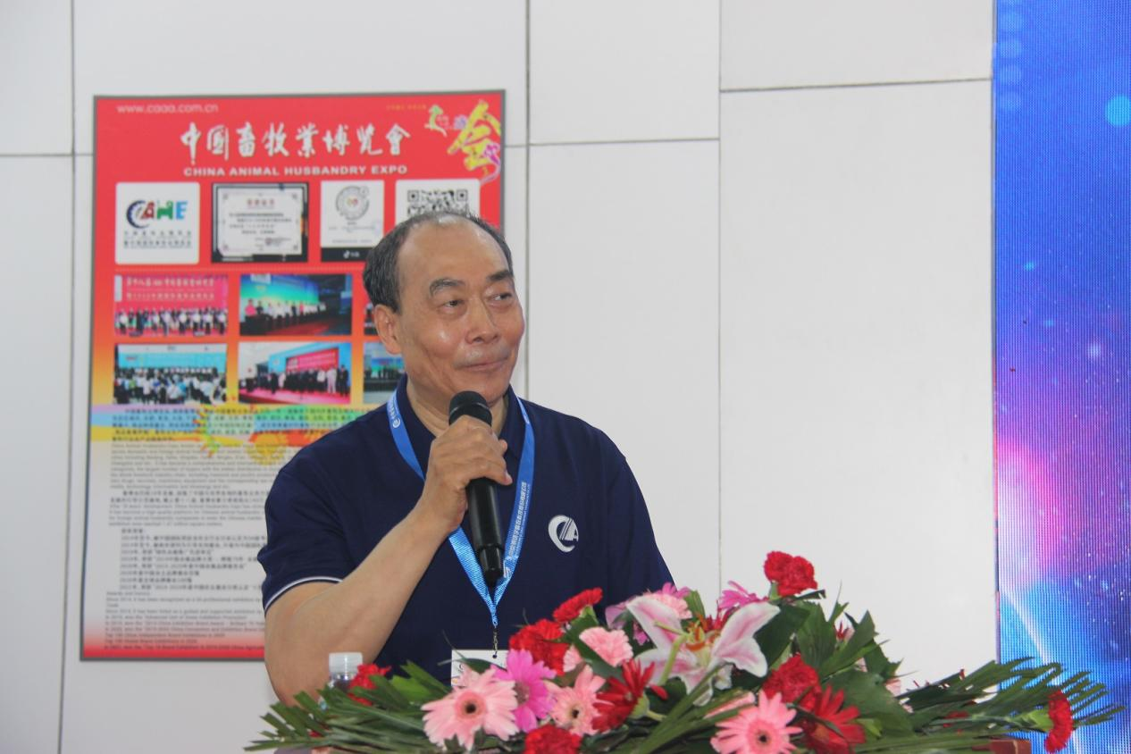 �ڲ�����Ϸ������(�й�)רҵ����,����Ϊ��