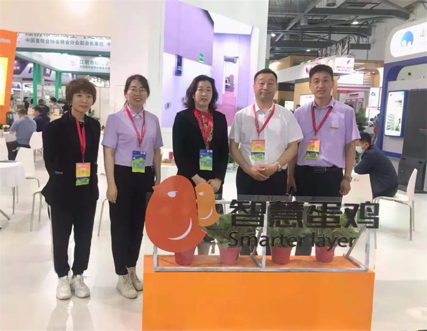 �ڲ�����Ϸ������(�й�)רҵ����,����Ϊ��