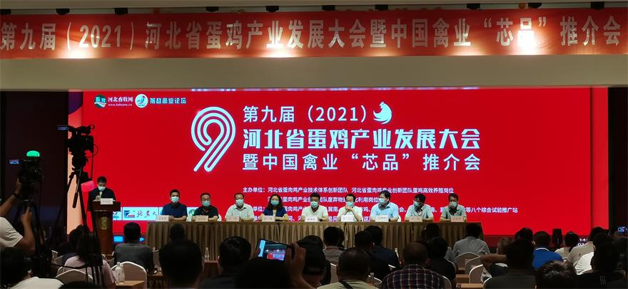 �ڲ�����Ϸ������(�й�)רҵ����,����Ϊ��