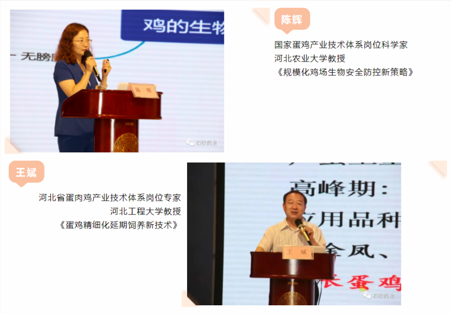 �ڲ�����Ϸ������(�й�)רҵ����,����Ϊ��