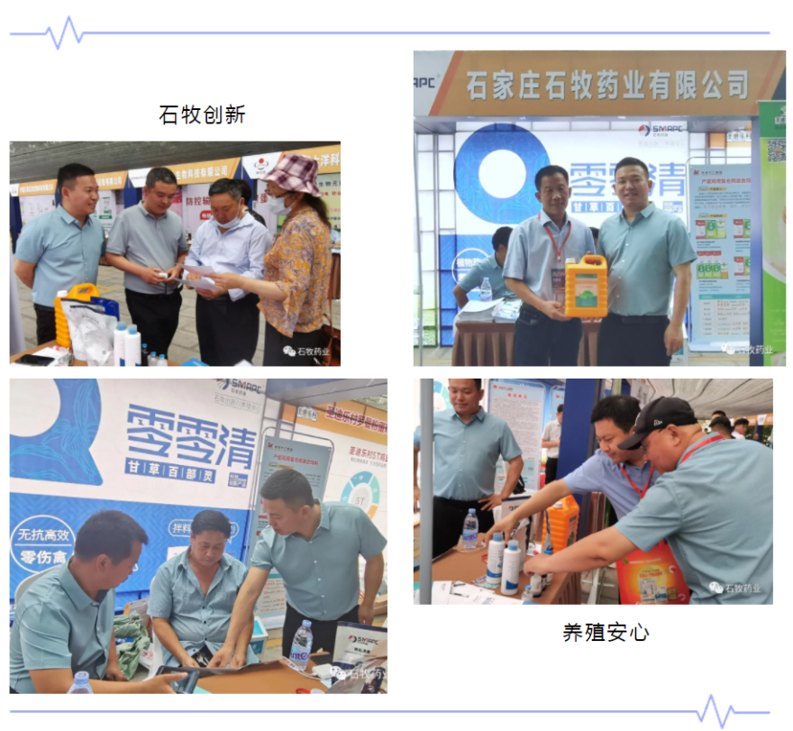 腾博会游戏官网·(中国)专业服务,诚信为本