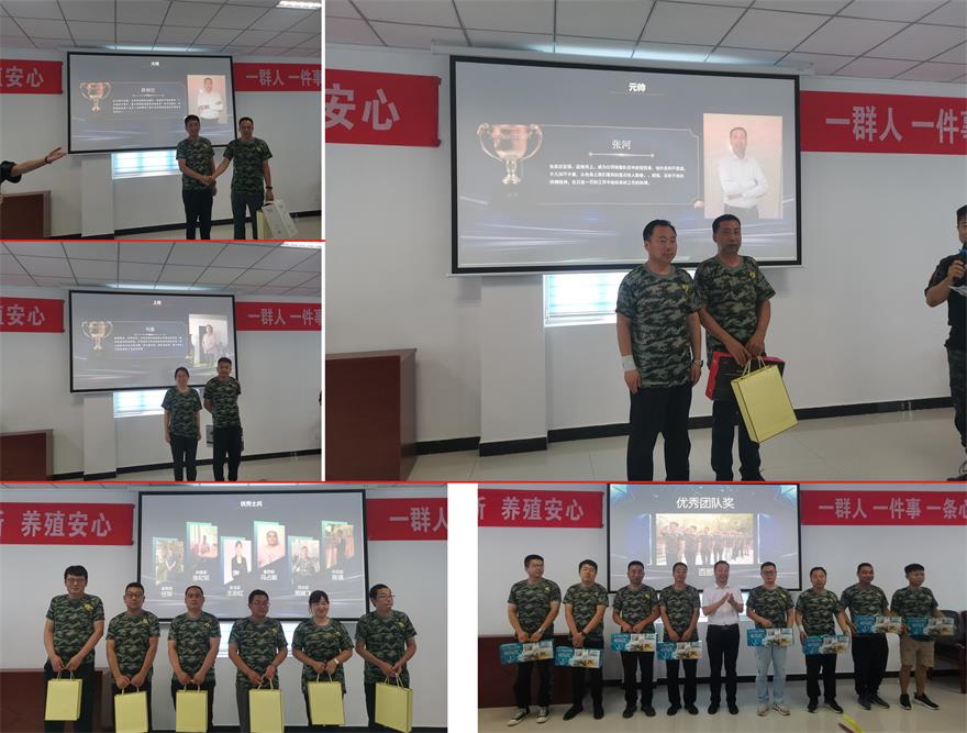 �ڲ�����Ϸ������(�й�)רҵ����,����Ϊ��