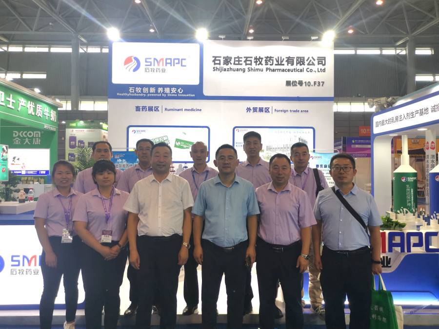 �ڲ�����Ϸ������(�й�)רҵ����,����Ϊ��