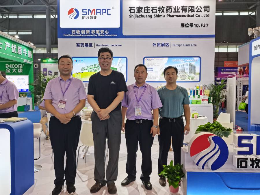 �ڲ�����Ϸ������(�й�)רҵ����,����Ϊ��