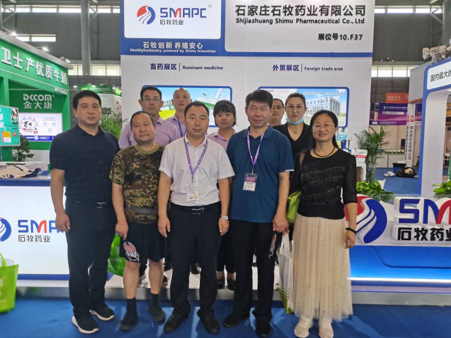 �ڲ�����Ϸ������(�й�)רҵ����,����Ϊ��