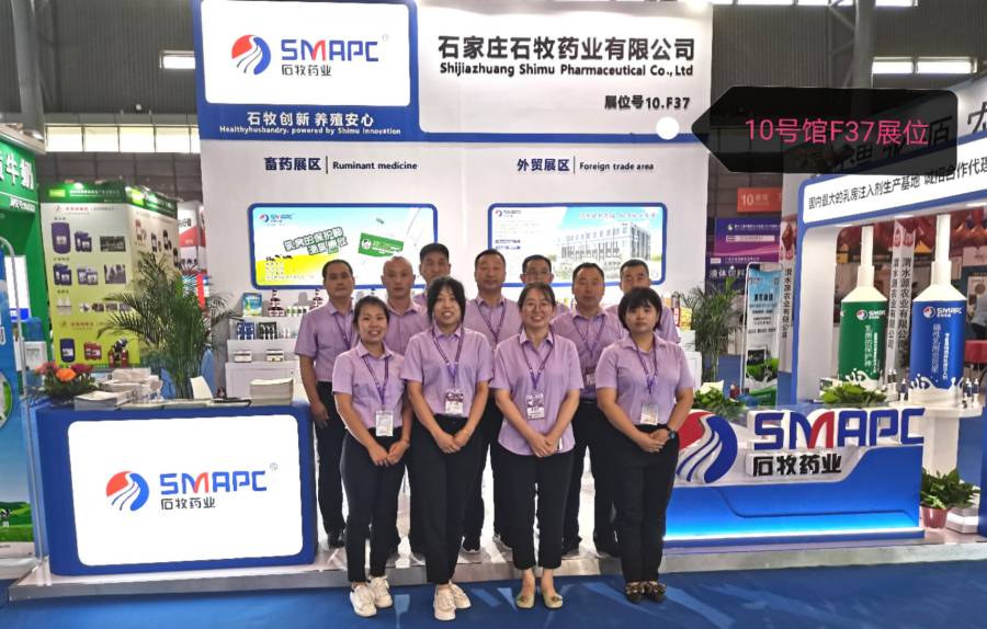 �ڲ�����Ϸ������(�й�)רҵ����,����Ϊ��