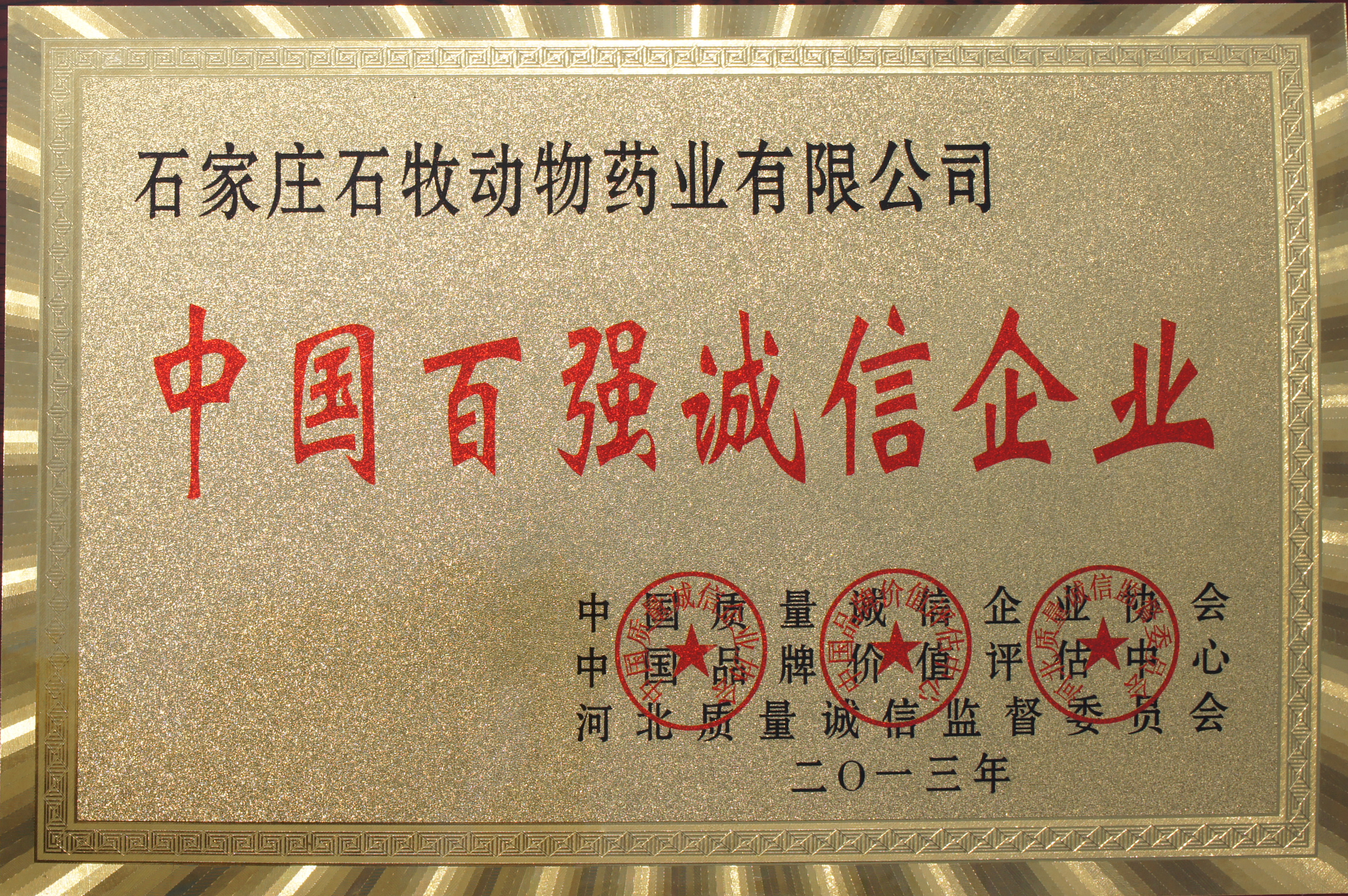 �ڲ�����Ϸ������(�й�)רҵ����,����Ϊ��