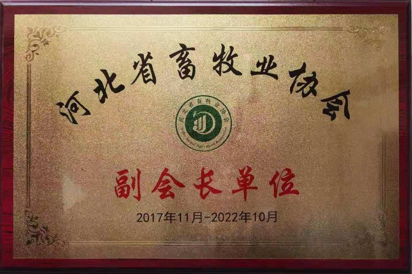 �ڲ�����Ϸ������(�й�)רҵ����,����Ϊ��