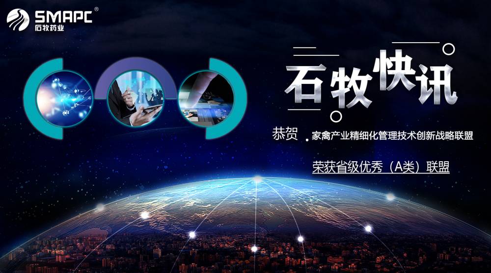 �ڲ�����Ϸ������(�й�)רҵ����,����Ϊ��