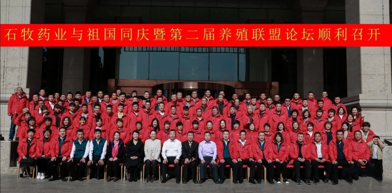 �ڲ�����Ϸ������(�й�)רҵ����,����Ϊ��