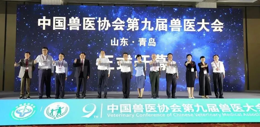 �ڲ�����Ϸ������(�й�)רҵ����,����Ϊ��