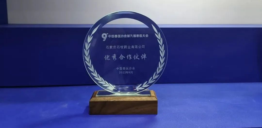 �ڲ�����Ϸ������(�й�)רҵ����,����Ϊ��