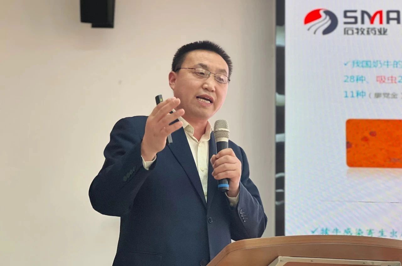 �ڲ�����Ϸ������(�й�)רҵ����,����Ϊ��