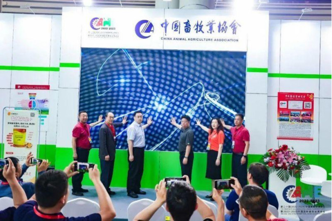 �ڲ�����Ϸ������(�й�)רҵ����,����Ϊ��