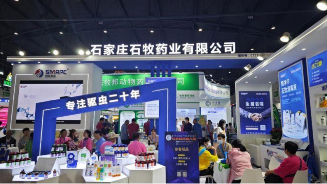 �ڲ�����Ϸ������(�й�)רҵ����,����Ϊ��