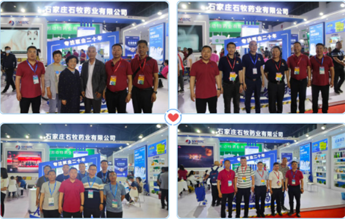 �ڲ�����Ϸ������(�й�)רҵ����,����Ϊ��