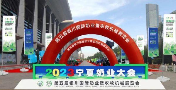 �ڲ�����Ϸ������(�й�)רҵ����,����Ϊ��