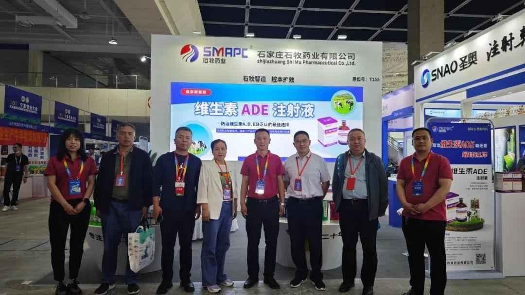 �ڲ�����Ϸ������(�й�)רҵ����,����Ϊ��