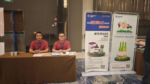 �ڲ�����Ϸ������(�й�)רҵ����,����Ϊ��