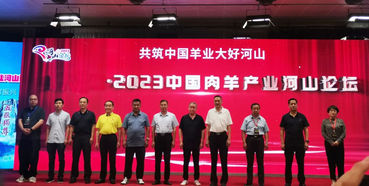 �ڲ�����Ϸ������(�й�)רҵ����,����Ϊ��