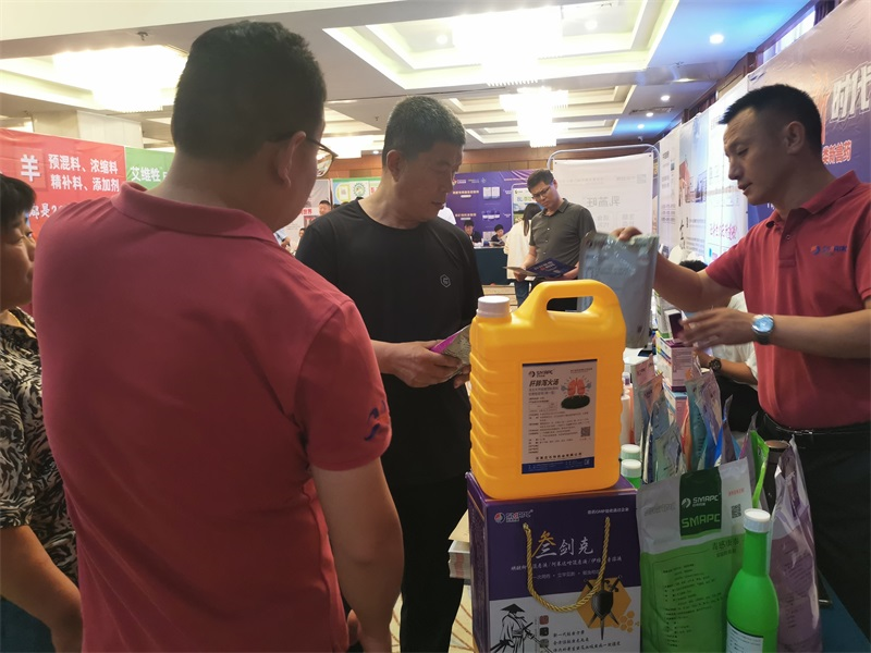 �ڲ�����Ϸ������(�й�)רҵ����,����Ϊ��