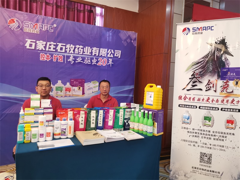 �ڲ�����Ϸ������(�й�)רҵ����,����Ϊ��