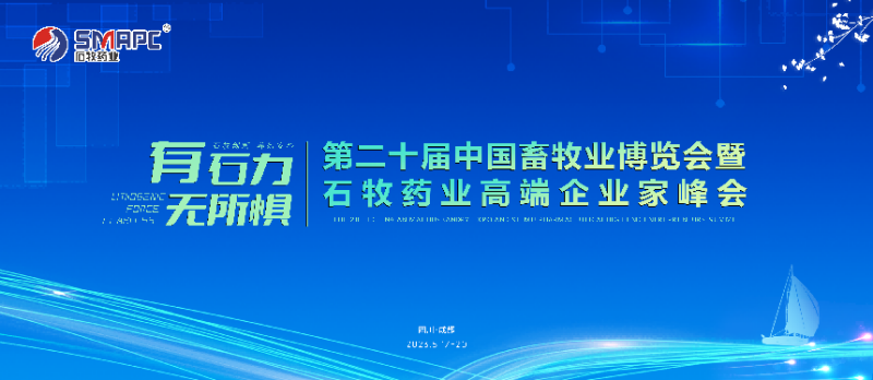 �ڲ�����Ϸ������(�й�)רҵ����,����Ϊ��