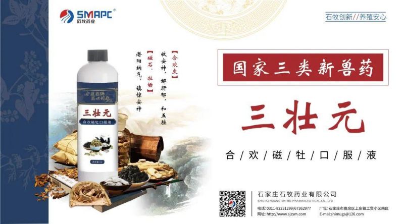 �ڲ�����Ϸ������(�й�)רҵ����,����Ϊ��