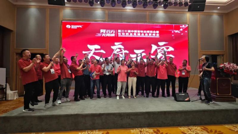 �ڲ�����Ϸ������(�й�)רҵ����,����Ϊ��