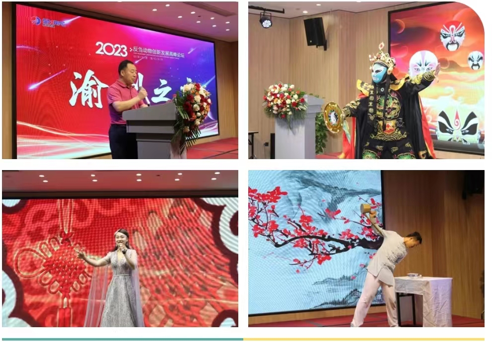 �ڲ�����Ϸ������(�й�)רҵ����,����Ϊ��