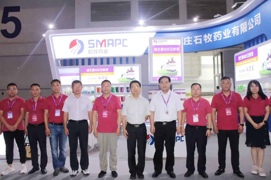 �ڲ�����Ϸ������(�й�)רҵ����,����Ϊ��