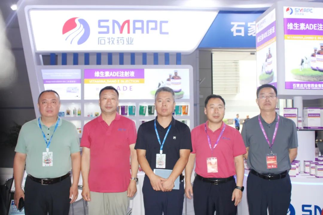 �ڲ�����Ϸ������(�й�)רҵ����,����Ϊ��