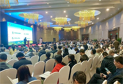 �ڲ�����Ϸ������(�й�)רҵ����,����Ϊ��