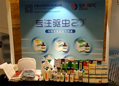 �ڲ�����Ϸ������(�й�)רҵ����,����Ϊ��