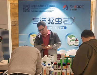 �ڲ�����Ϸ������(�й�)רҵ����,����Ϊ��