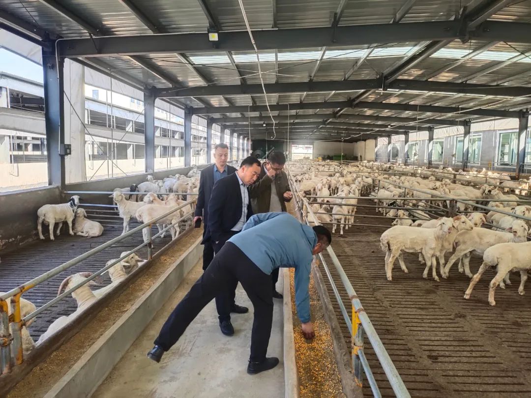 ÌÚ²©»áÓÎÏ·¹ÙÍø¡¤(Öйú)רҵ·þÎñ,³ÏÐÅΪ±¾