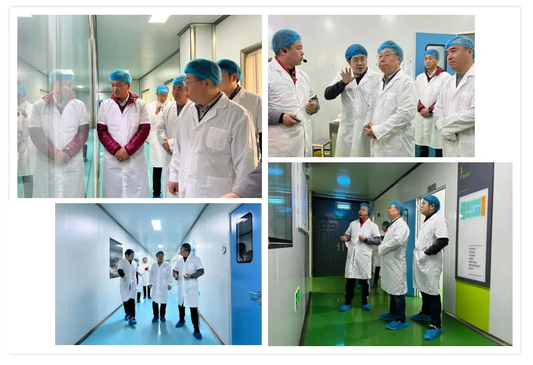 �ڲ�����Ϸ������(�й�)רҵ����,����Ϊ��