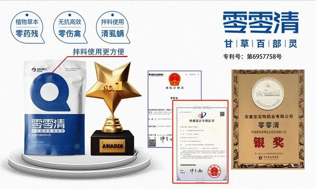 �ڲ�����Ϸ������(�й�)רҵ����,����Ϊ��