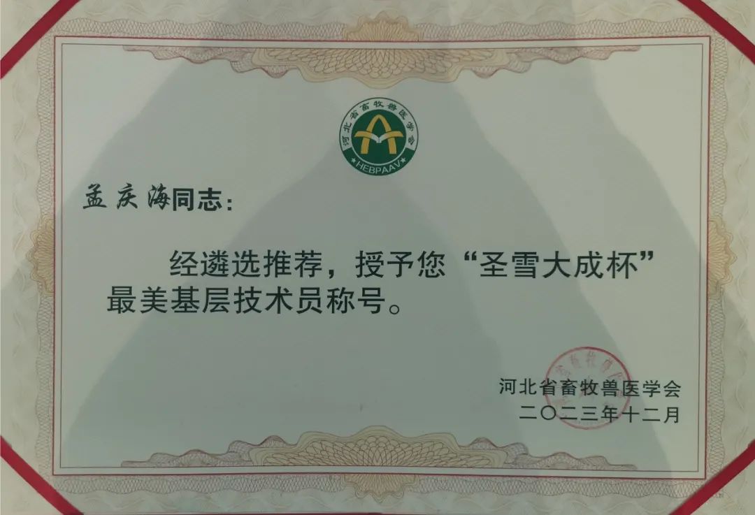 �ڲ�����Ϸ������(�й�)רҵ����,����Ϊ��