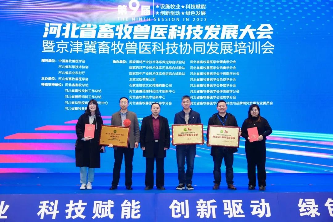 �ڲ�����Ϸ������(�й�)רҵ����,����Ϊ��